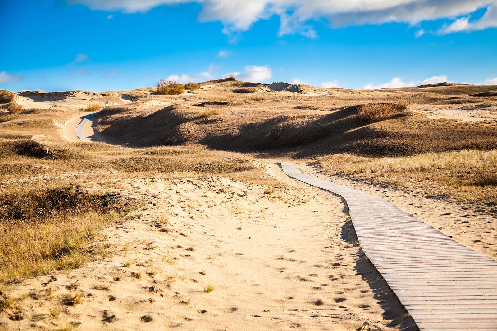 nida_dunes_image
